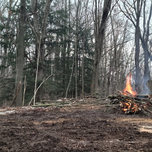 Im Looking For People Who Would Like To Trade - Picture 2 of 2